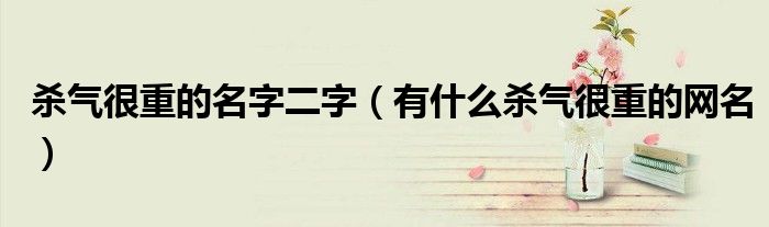 杀气很重的名字二字(有什么杀气很重的网名)