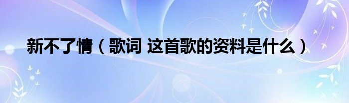 新不了情(歌词 这首歌的资料是什么)