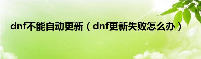 dnf不能自动更新(dnf更新失败怎么办)