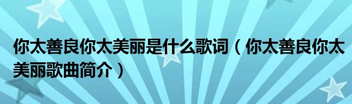 你太善良你太美丽是什么歌词(你太善良你太美丽歌曲简介)