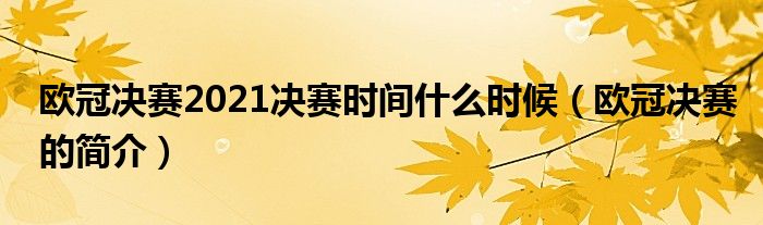 欧冠决赛2021决赛时间什么时候(欧冠决赛的简介)