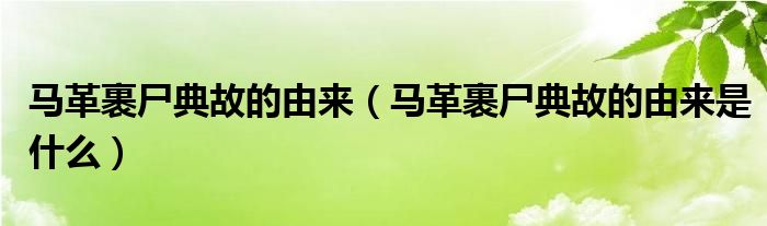 马革裹尸典故的由来(马革裹尸典故的由来是什么)