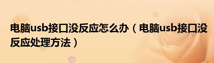 电脑usb接口没反应怎么办(电脑usb接口没反应处理方法)
