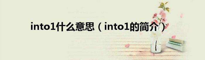 into1什么意思(into1的简介)