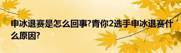 申冰退赛是怎么回事?青你2选手申冰退赛什么原因?