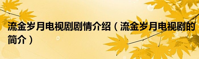 流金岁月电视剧剧情介绍(流金岁月电视剧的简介)