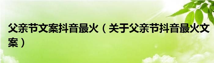 父亲节文案抖音最火(关于父亲节抖音最火文案)