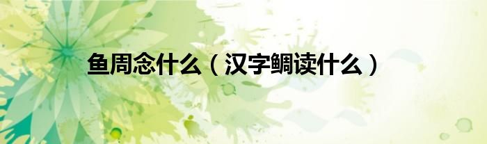 鱼周念什么（汉字鲷读什么）