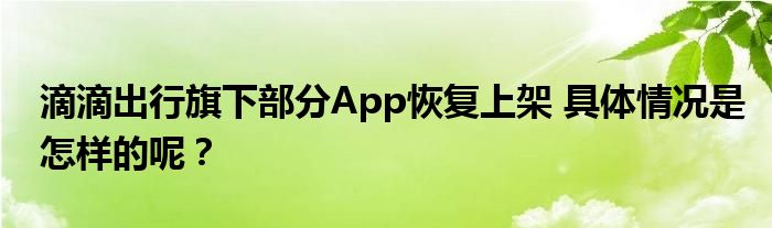 滴滴出行旗下部分App恢复上架 具体情况是怎样的呢?