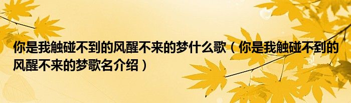 你是我触碰不到的风醒不来的梦什么歌(你是我触碰不到的风醒不来的梦歌名介绍)
