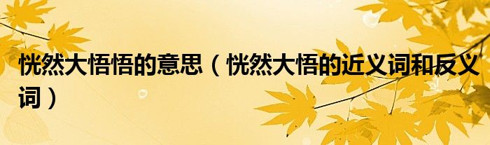 恍然大悟悟的意思(恍然大悟的近义词和反义词)