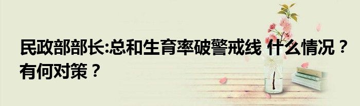 民政部部长:总和生育率破警戒线 什么情况?有何对策?