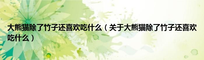 大熊猫除了竹子还喜欢吃什么(关于大熊猫除了竹子还喜欢吃什么)