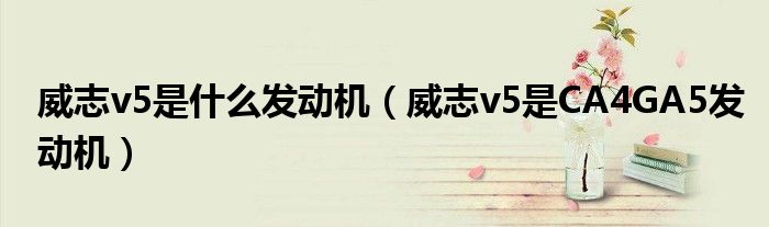 威志v5是什么发动机(威志v5是CA4GA5发动机)