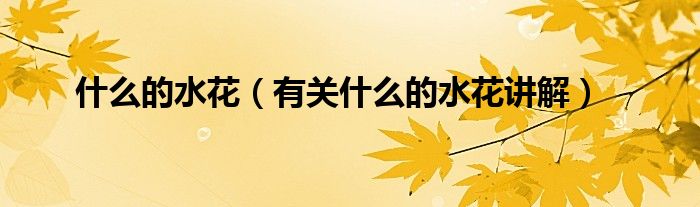 什么的水花(有关什么的水花讲解)