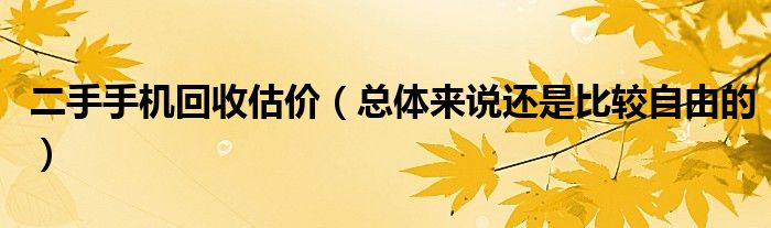 二手手机回收估价(总体来说还是比较自由的)