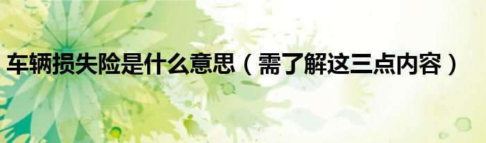 车辆损失险是什么意思(需了解这三点内容)