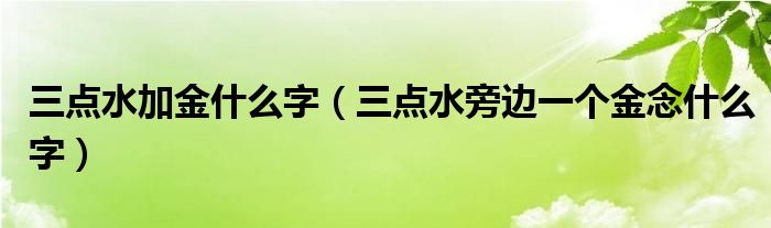 三点水加金什么字(三点水旁边一个金念什么字)