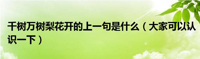 千树万树梨花开的上一句是什么(大家可以认识一下)