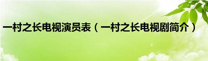一村之长电视演员表(一村之长电视剧简介)