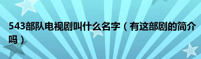 543部队电视剧叫什么名字(有这部剧的简介吗)