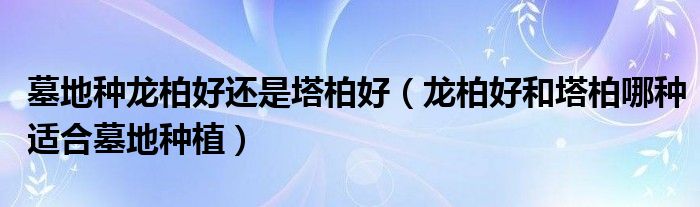 墓地种龙柏好还是塔柏好(龙柏好和塔柏哪种适合墓地种植)