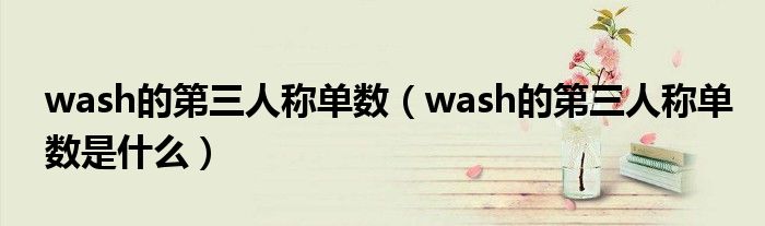 wash的第三人称单数(wash的第三人称单数是什么)