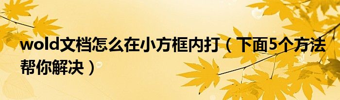 wold文档怎么在小方框内打(下面5个方法帮你解决)