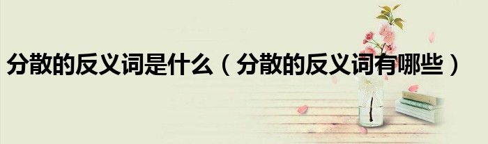 分散的反义词是什么(分散的反义词有哪些)