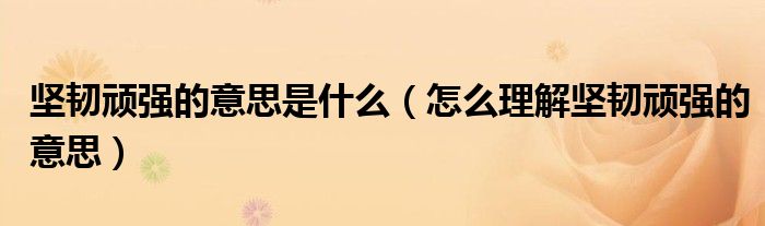坚韧顽强的意思是什么(怎么理解坚韧顽强的意思)
