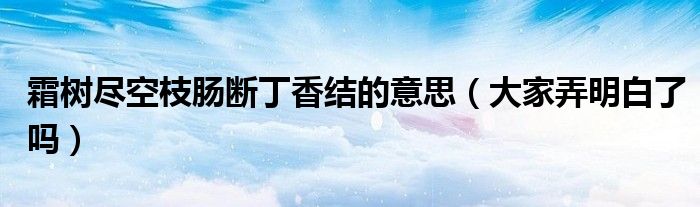 霜树尽空枝肠断丁香结的意思(大家弄明白了吗)