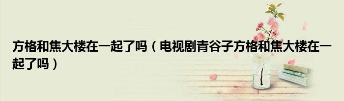 方格和焦大楼在一起了吗(电视剧青谷子方格和焦大楼在一起了吗)