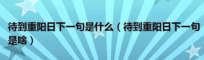 待到重阳日下一句是什么(待到重阳日下一句是啥)