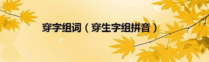 穿字组词(穿生字组拼音)