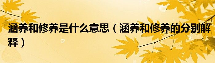 涵养和修养是什么意思(涵养和修养的分别解释)