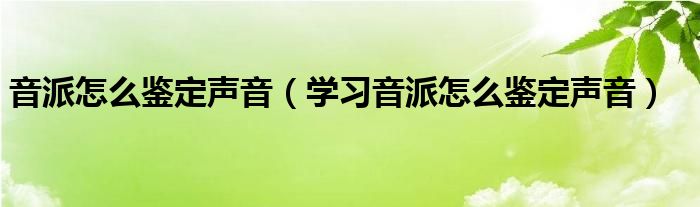 音派怎么鉴定声音(学习音派怎么鉴定声音)