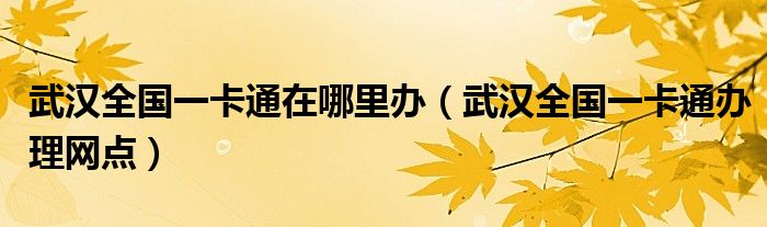 武汉全国一卡通在哪里办(武汉全国一卡通办理网点)