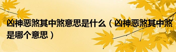凶神恶煞其中煞意思是什么(凶神恶煞其中煞是哪个意思)