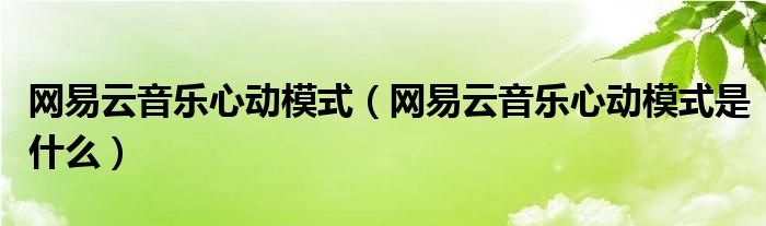 网易云音乐心动模式(网易云音乐心动模式是什么)