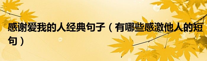 感谢爱我的人经典句子(有哪些感激他人的短句)