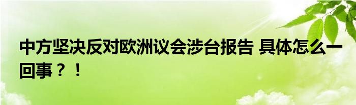中方坚决反对欧洲议会涉台报告 具体怎么一回事?!