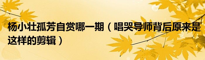 杨小壮孤芳自赏哪一期(唱哭导师背后原来是这样的剪辑)