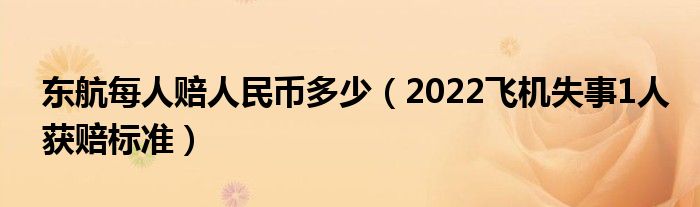 东航每人赔人民币多少(2022飞机失事1人获赔标准)