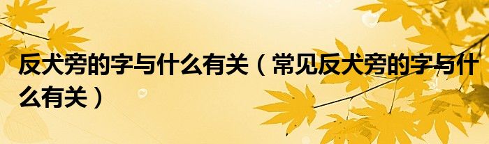 反犬旁的字与什么有关(常见反犬旁的字与什么有关)