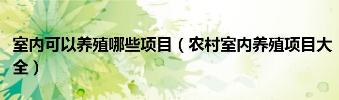 室内可以养殖哪些项目(农村室内养殖项目大全)