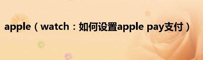apple(watch:如何设置apple pay支付)