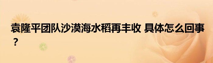袁隆平团队沙漠海水稻再丰收 具体怎么回事?
