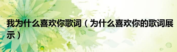 我为什么喜欢你歌词(为什么喜欢你的歌词展示)