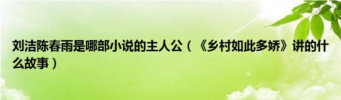 刘洁陈春雨是哪部小说的主人公(《乡村如此多娇》讲的什么故事)