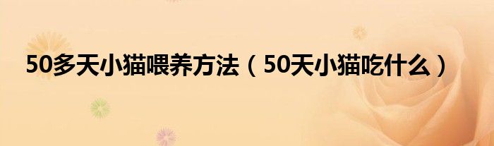 50多天小猫喂养方法(50天小猫吃什么)